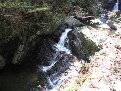 20140419hike (31)